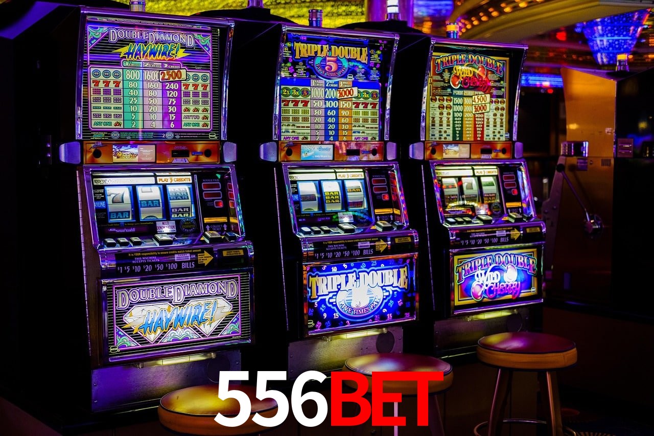 Estatísticas 556bet